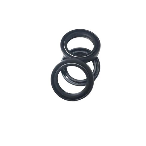 22 * 33 10 Rubber Covered Oil Seal in Saudi Arabia