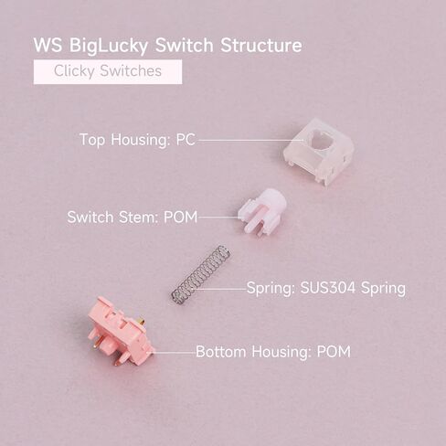 OOCTPK Chilkey WS BigLucky Keyboard Switches Clicky: 5 Pins 40gf Pre-Lubed Mechanical Keyboard Clicky Switches for Mechanical Gaming Key Board 35Pcs (Pink) in Saudi Arabia