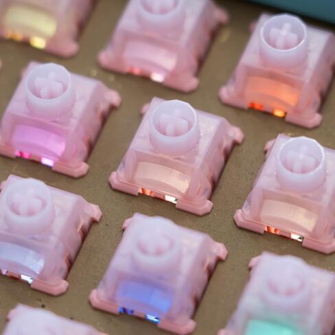 OOCTPK Chilkey WS BigLucky Keyboard Switches Clicky: 5 Pins 40gf Pre-Lubed Mechanical Keyboard Clicky Switches for Mechanical Gaming Key Board 35Pcs (Pink) in Saudi Arabia