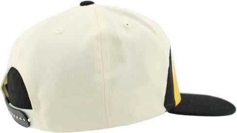 Iowa Hawkeyes NCAA Officially Licensed Hat Flat Snapback Z11 Retro Sharktooth Team Color in Saudi Arabia