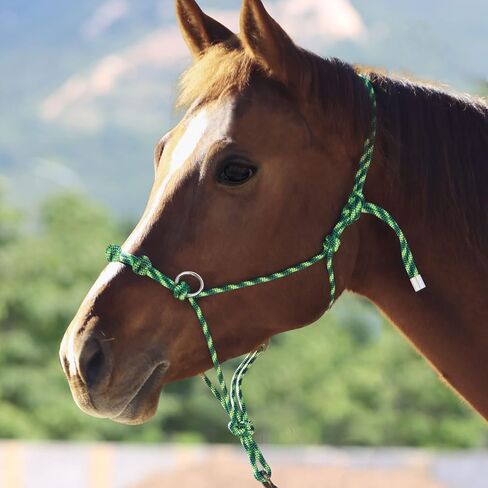 Harrison Howard Poly 4 Knot Side Pull Rope Halter with Rings Rope Training Halter for Horse - Style 6 in Saudi Arabia