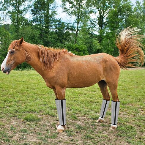 Mesh Horse Fly Boots in Saudi Arabia