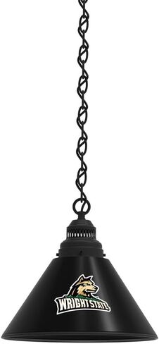 HBS Wright State University Single Shade Pendant Light in Saudi Arabia