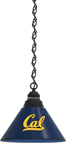 HBS University of California Single Shade Pendant Light in Saudi Arabia