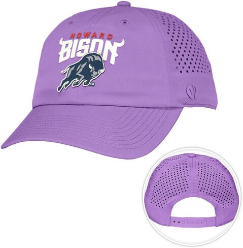 قبعة Desert Cactus Howard University Snapback - قبعة بيسبول BreezePro Performance مع حزام قابل للتعديل لمحبي البيسون (BP1) in Saudi Arabia