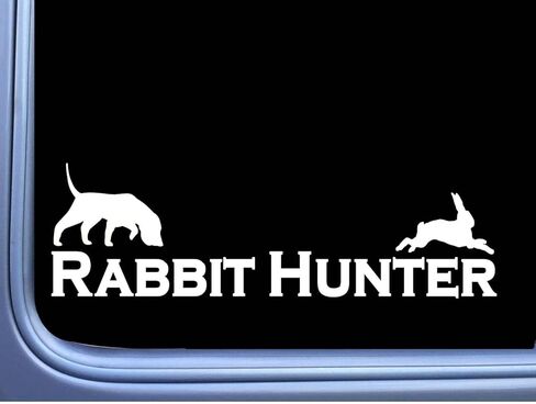 Rabbit Hunter Beagle J901 8 inch Decal Hunting Dog Box Vest in Saudi Arabia
