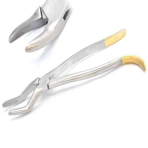 Wolf Tooth Extractor Forceps Dental Equine 12″ Stainless Steel in Saudi Arabia