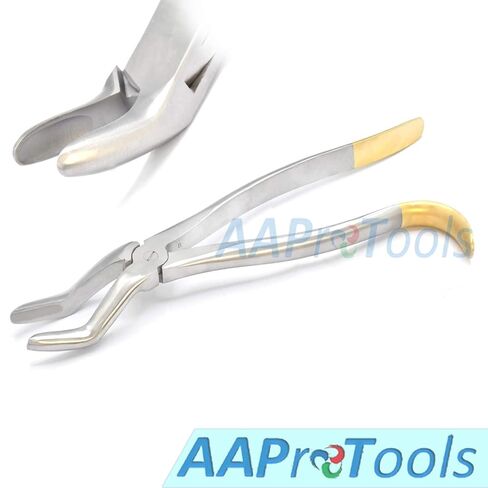 Wolf Tooth Extractor Forceps Dental Equine 12″ Stainless Steel in Saudi Arabia