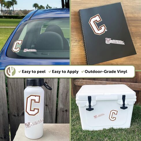Desert Cactus College of Charleston Cougars Sticker Vinyl Decal Laptop Water Bottle Car Scrapbook (4 Inch Set V1) in Saudi Arabia