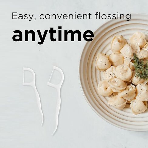 Micro Dental Floss Picks, Easy Grip Handle Floss Sticks, Travel Floss Toothpicks Storage with Sure-Zip Seal, 100 Count (1) in Saudi Arabia