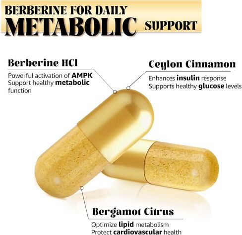 Berberine Supplement with Ceylon Cinnamon, Metabolic Support Formula for Daily Balance, Liposomal Berberine for GLP-1 Lifestyle Support, 600mg, Vegan, Non-GMO, 120 Capsules in Saudi Arabia