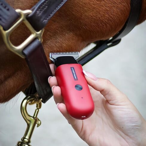 Liveryman Robin Professional Horse Trimmer in Saudi Arabia