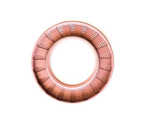 EAI 55mm x 90mm x 8mm FPM/FKM TC Double Lip w/Stainless Steel Spring Oil Seal. Comp. /w Viton Shaft Seal in Saudi Arabia