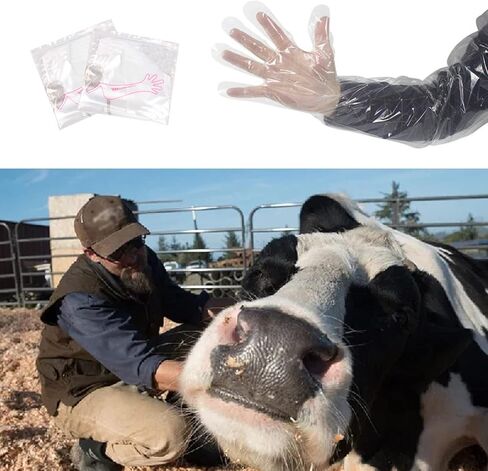 UoYu YouU 50 pcs Long Arm Examination Artificial Insemination Glove Disposable Soft Plastic Film Gloves White 34 In in Saudi Arabia