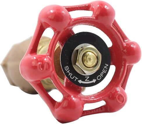1Pcs Class 150 Cast Bronze Globe Valve Angle Valve(DN25) in Saudi Arabia