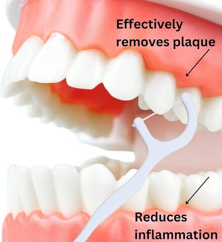 خيط تنظيف الأسنان القابل للتحلل الحيوي من شركة Dental Herb، عدد 200 (4 × 50) - أدوات تنظيف الأسنان بدون نكهة، نباتية، خالية من البلاستيك وخالية من مادة BPA، العناية بالفم نباتية وصديقة للبيئة in Kuwait