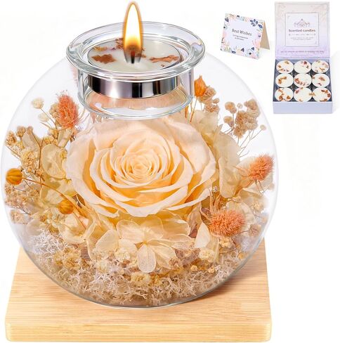 DEEMEI Gifts for Women Christmas Birthday Gifts for Women Preserved Real Rose in Glass Dome with Scented Fresh Flowers for Delivery Prime Eternal for Her Mom Grandma Wife Girlfriend Sister, Purple in Saudi Arabia
