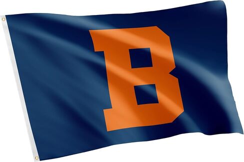 Desert Cactus Bucknell University BU Flag - 3 x 5 Feet Bison Banner, Indoor/Outdoor Durable Fabric, 100% Polyester Design (Style 6) in Saudi Arabia