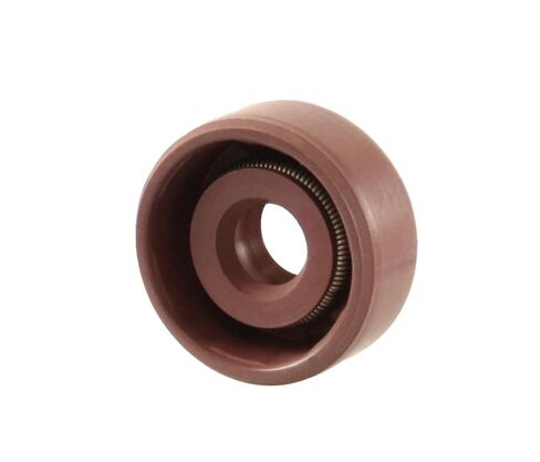 EAI 6mm x 16mm x 7mm FPM/FKM TC Double Lip w/Stainless Steel Spring Oil Seal. Comp. /w Viton Shaft Seal in Saudi Arabia