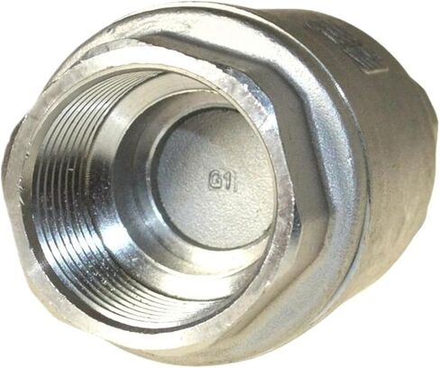 YQBS 304 Stainless Steel Check Valve (304) Vertical Lift In Line Spring(3/4") in Saudi Arabia