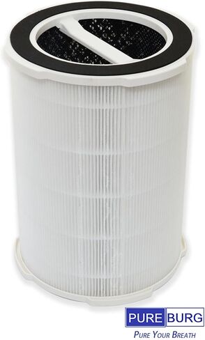 PUREBURG Replacement Filter Compatible with Ganiza G200S G200 Air Purifiers,2-Pack H13 HEPA 4-Stage Filtration Activated Carbon Air Clean Dust in Saudi Arabia