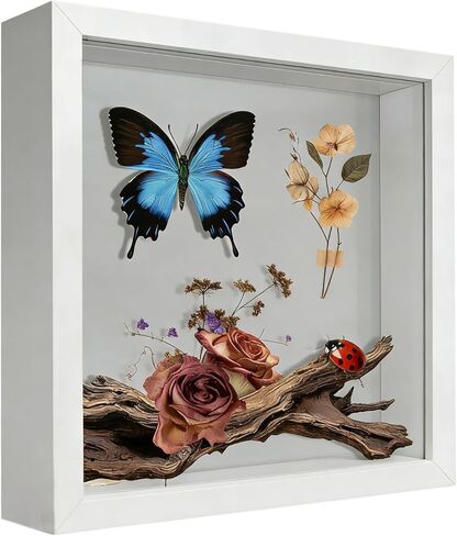 8*10 Shadow Box Frame Display Case, 3D Picture Frame, Display Case Box for Memorabilia, Baby Items, Wedding Memories, Crafts, Tickets and Photos (White,No Hooks) in Saudi Arabia
