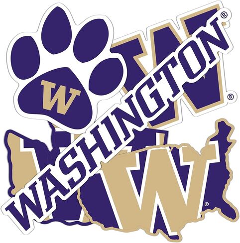 ملصق صحراء الصبار جامعة واشنطن UW Huskies Husky شارات الفينيل زجاجة مياه للكمبيوتر المحمول سجل قصاصات السيارة T2 (النوع 2-3) in Saudi Arabia