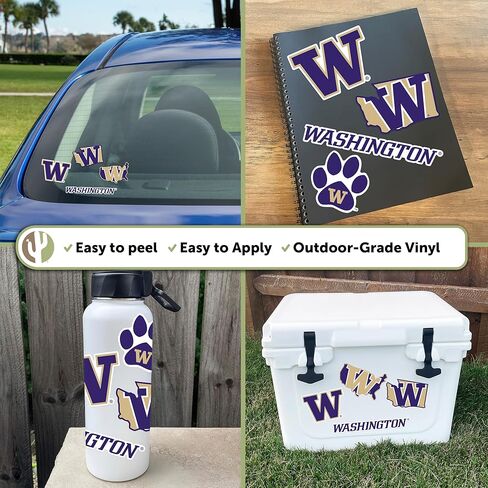 ملصق صحراء الصبار جامعة واشنطن UW Huskies Husky شارات الفينيل زجاجة مياه للكمبيوتر المحمول سجل قصاصات السيارة T2 (النوع 2-3) in Saudi Arabia