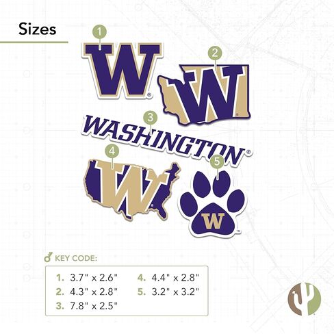 ملصق صحراء الصبار جامعة واشنطن UW Huskies Husky شارات الفينيل زجاجة مياه للكمبيوتر المحمول سجل قصاصات السيارة T2 (النوع 2-3) in Saudi Arabia