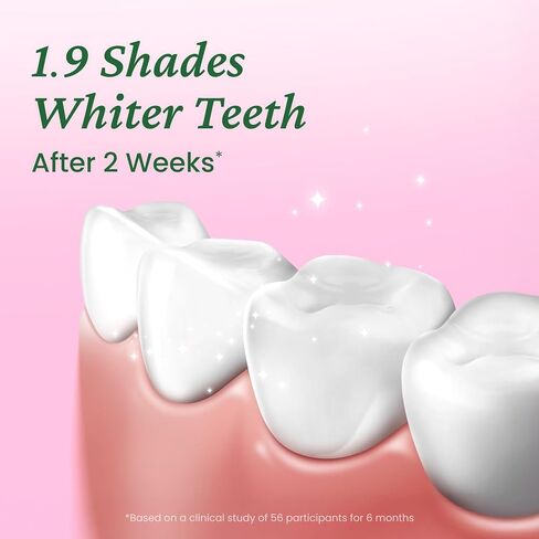 EUTHYMOL Whitening Toothpaste Travel Set (1.4fl oz*3, Pack of 3) - Stocking Stuffers. Stain Removal in 2 Weeks, Long-Lasting Freshness for Sensitive Gum & Teeth. Bad Breath, Cavity Prevention. in Saudi Arabia