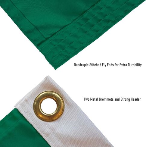 Missouri S&T Miners Boat and Small Golf Cart Flag in Saudi Arabia