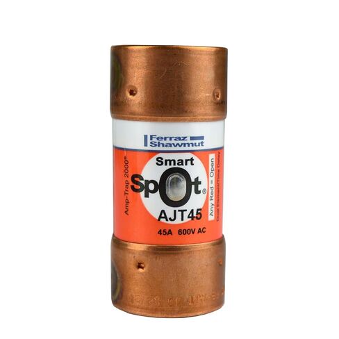 Ferraz Shamwut/Mersen AJT45, 45Amp 600V Cartridge Fuse in Saudi Arabia
