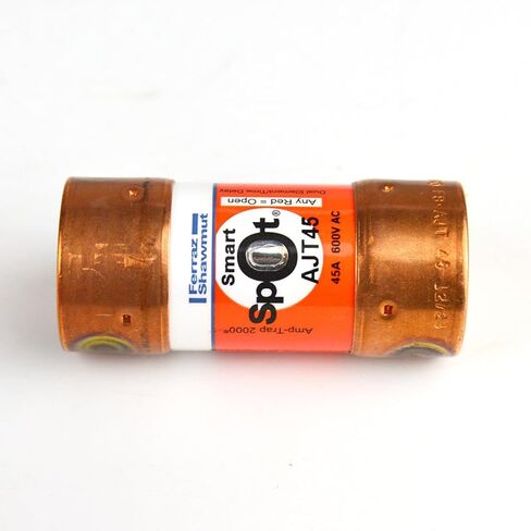 Ferraz Shamwut/Mersen AJT45, 45Amp 600V Cartridge Fuse in Saudi Arabia