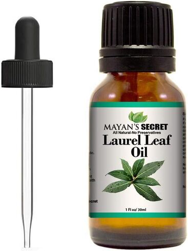 Laurel Leaf Essential Oil (100% Pure -Best Therapeutic Grade Essential Oil - 30 ml(1 oz) in Saudi Arabia