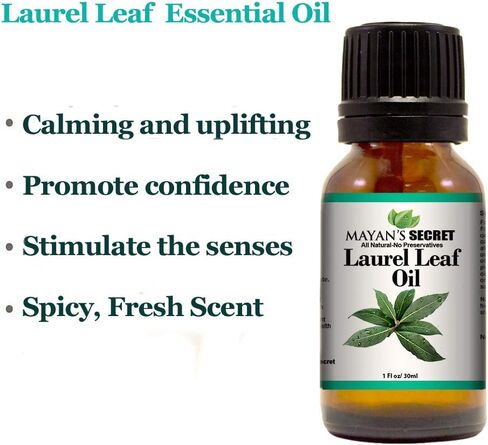 Laurel Leaf Essential Oil (100% Pure -Best Therapeutic Grade Essential Oil - 30 ml(1 oz) in Saudi Arabia