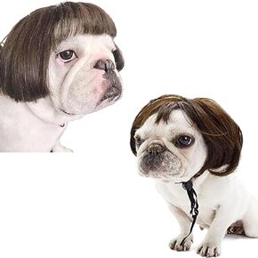 Dog Wig, Pet Wig, Funny Dog Costume for Small Medium and Large Dogs, Cat Cosplay Wig, Dog Hats for Halloween, Christmas, Parties and Festivals