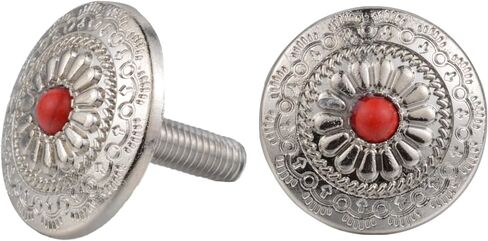 Lunsom License Plate Fastener Screw Kit, Sliver Round Shape License Plate Bolts License Plate Fastening Windshield Trim for Car Tag Frame with 2 PCS,Red in Saudi Arabia