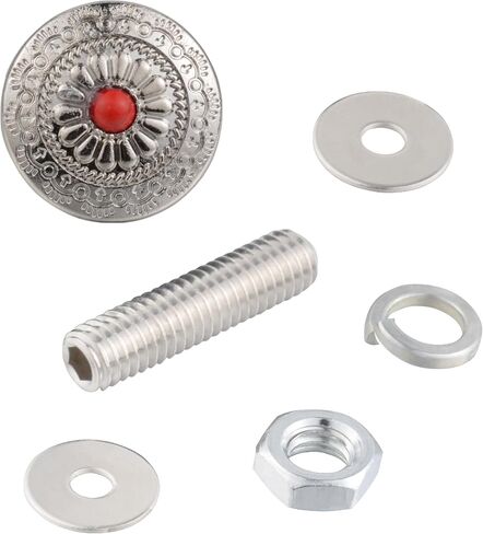 Lunsom License Plate Fastener Screw Kit, Sliver Round Shape License Plate Bolts License Plate Fastening Windshield Trim for Car Tag Frame with 2 PCS,Red in Saudi Arabia