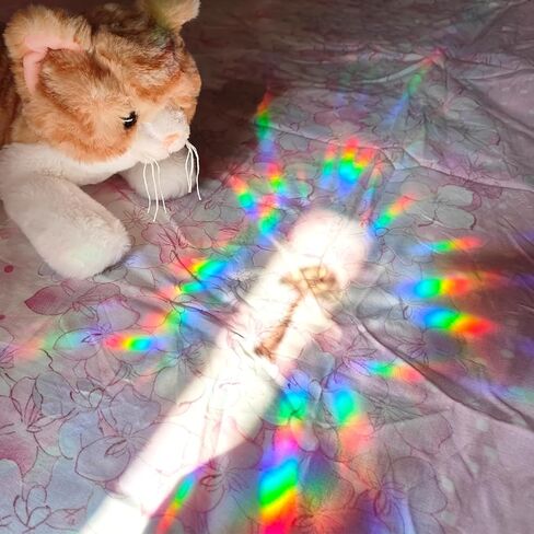 48 قطعة من ملصقات النوافذ لضربات الطيور - ملصقات ثابتة لقوس قزح للنوافذ - مضادة للتصادمات للنوافذ والأبواب الزجاجية، نمط دائري in Kuwait