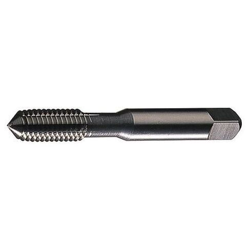 Thread Forming Tap, Plug, 1/4-20, Bright in Saudi Arabia