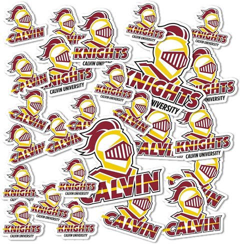 Desert Cactus Calvin University Sticker Knights Vinyl Decals Laptop Water Bottle Car Scrapbook Sheet T1 (Type 1-1) in Saudi Arabia