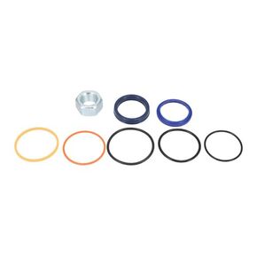 Hydraulic Seal Kit - Lift Cylinder fits Bobcat S220 7137865 in Kuwait
