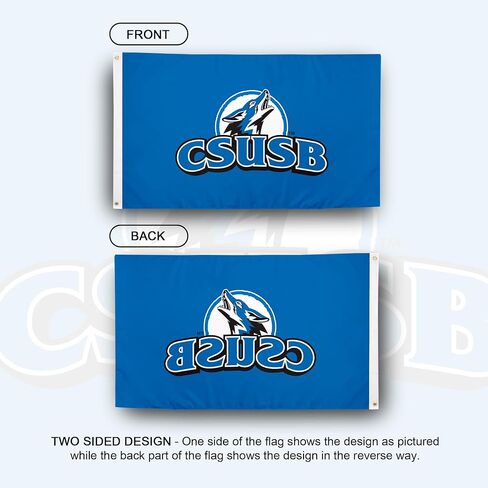 علم صبار الصحراء Cal State San Bernardino University California CSSBUC - لافتة ذئاب مقاس 3 × 5 أقدام، قماش متين للاستخدام الداخلي/الخارجي، تصميم بوليستر 100% (النمط 1) in Saudi Arabia