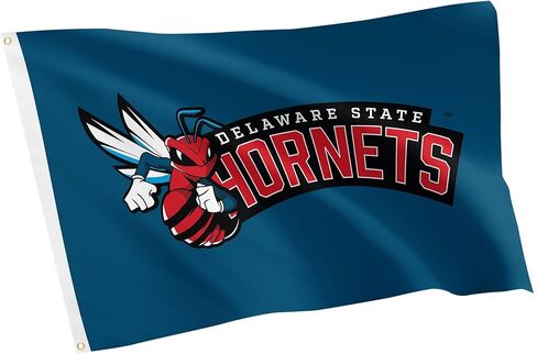 Desert Cactus Delaware State University DSU Flag - 3 x 5 Feet Hornets Banner, Indoor/Outdoor Durable Fabric, 100% Polyester Design (Style E) in Saudi Arabia