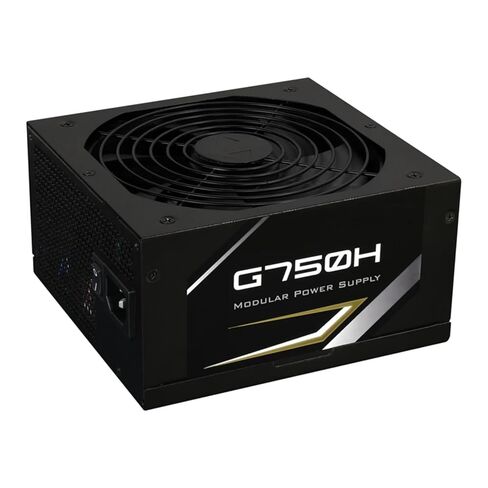 G750H 750 واط لعامل الشكل ATX 12V Active PFC 47-63 هرتز 80PLUS Gold Switching Power Supply in Kuwait