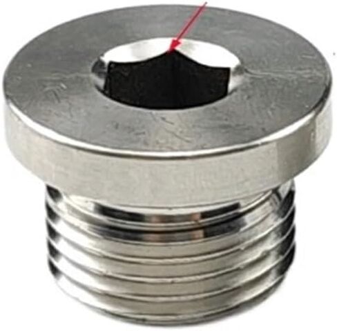 10-Piece Set of Brass hex Socket Plugs with Sealing Ring 1/8 1/4 3/8 1/2 3/4 External Thread Pneumatic Plug end Cap(Stainless04) in Saudi Arabia