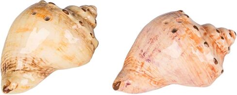 Beachcombers 2.8" Ceramic Conch Shell Salt/Pepper Set Of 2 Nautical Coastal Beach Home Kitchen Dining Dinner Table Tabletop Decor Decoration Orange in Kuwait