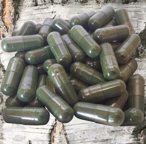 ChagaTeaShop Siberian Chaga Extract Capsules Dietary Supplement 2 Month Supply 120 Vegetarian Capsules in Kuwait