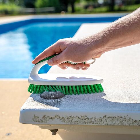 LIBMAN Scrub Brush - Heavy Duty Cleaning Brush with Strong Bristles - 3 pk Durable Scrub Brushes for Cleaning Bathroom, Kitchen, Floor, Shower, Sink, Tub, Carpet - All Purpose in Kuwait