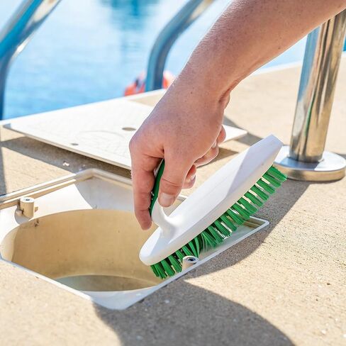 LIBMAN Scrub Brush - Heavy Duty Cleaning Brush with Strong Bristles - 3 pk Durable Scrub Brushes for Cleaning Bathroom, Kitchen, Floor, Shower, Sink, Tub, Carpet - All Purpose in Kuwait